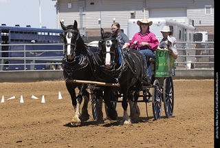 Draft Horse Show at LCF 2025