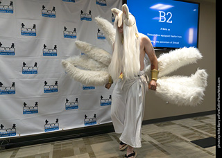 Fort Collins Comic Con 2025 - Contest