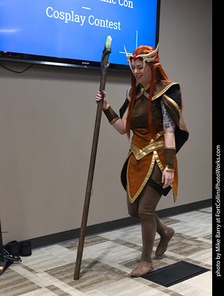 Fort Collins Comic Con 2025 - Contest