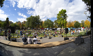 Tour de Corgi 2025 - Costume Contest
