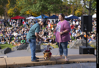 Tour de Corgi 2025 - Costume Contest