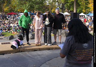 Tour de Corgi 2025 - Costume Contest
