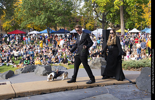 Tour de Corgi 2025 - Costume Contest