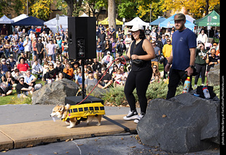 Tour de Corgi 2025 - Costume Contest