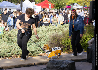 Tour de Corgi 2025 - Costume Contest
