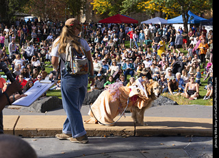 Tour de Corgi 2025 - Costume Contest