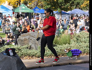 Tour de Corgi 2025 - Costume Contest