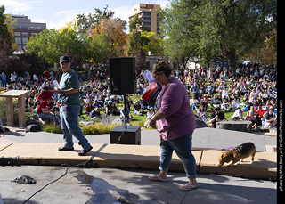 Tour de Corgi 2025 - Costume Contest