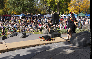 Tour de Corgi 2025 - Costume Contest