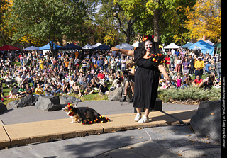 Tour de Corgi 2025 - Costume Contest