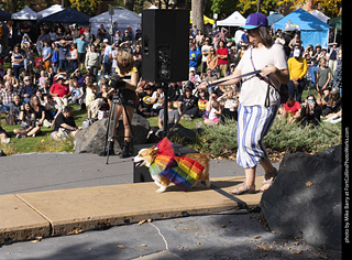 Tour de Corgi 2025 - Costume Contest