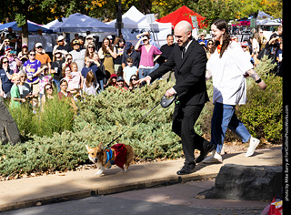 Tour de Corgi 2025 - Costume Contest