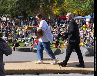 Tour de Corgi 2025 - Costume Contest