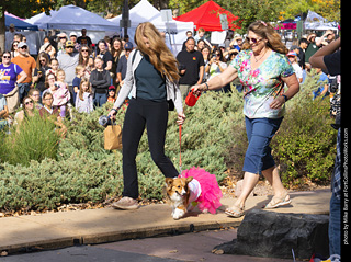 Tour de Corgi 2025 - Costume Contest