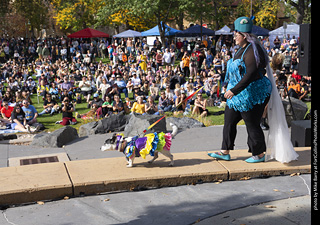 Tour de Corgi 2025 - Costume Contest
