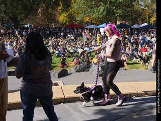 Tour de Corgi 2025 - Costume Contest