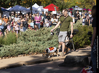 Tour de Corgi 2025 - Costume Contest