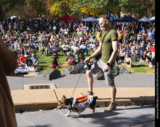 Tour de Corgi 2025 - Costume Contest