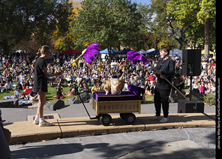 Tour de Corgi 2025 - Costume Contest