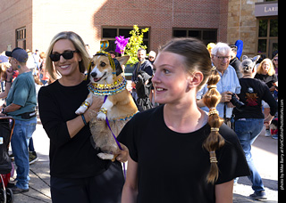 Tour de Corgi 2025 - Costume Contest
