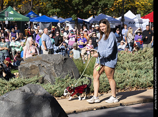 Tour de Corgi 2025 - Costume Contest