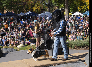 Tour de Corgi 2025 - Costume Contest
