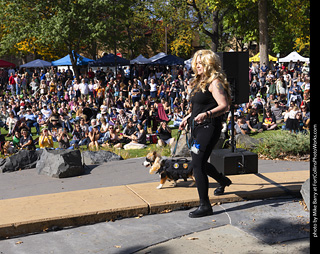 Tour de Corgi 2025 - Costume Contest