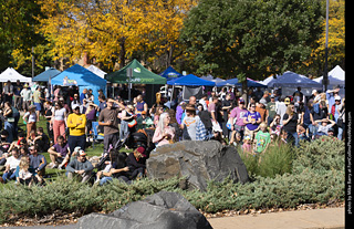 Tour de Corgi 2025 - Costume Contest
