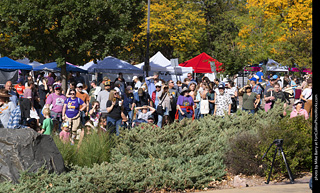 Tour de Corgi 2025 - Costume Contest