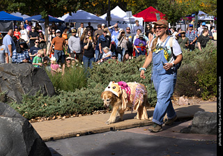 Tour de Corgi 2025 - Costume Contest