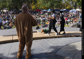 Tour de Corgi 2025 - Costume Contest