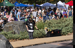 Tour de Corgi 2025 - Costume Contest