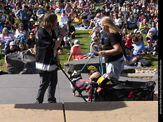 Tour de Corgi 2025 - Costume Contest
