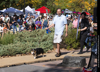 Tour de Corgi 2025 - Costume Contest