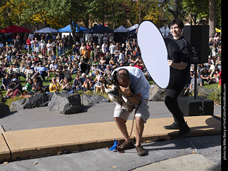 Tour de Corgi 2025 - Costume Contest