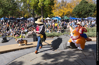 Tour de Corgi 2025 - Costume Contest