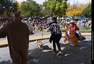Tour de Corgi 2025 - Costume Contest