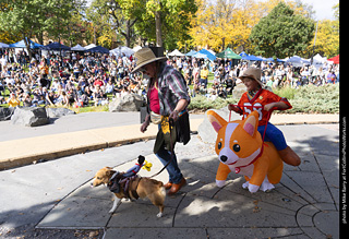 Tour de Corgi 2025 - Costume Contest