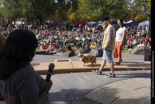 Tour de Corgi 2025 - Costume Contest