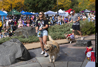 Tour de Corgi 2025 - Costume Contest