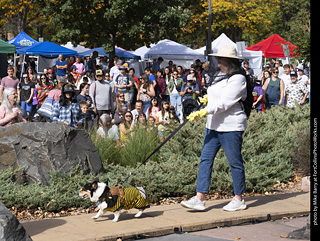 Tour de Corgi 2025 - Costume Contest