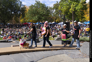 Tour de Corgi 2025 - Costume Contest