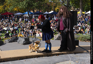 Tour de Corgi 2025 - Costume Contest