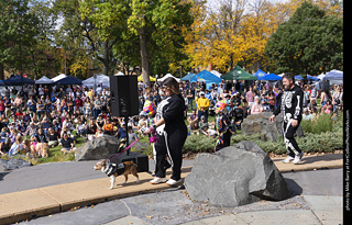 Tour de Corgi 2025 - Costume Contest