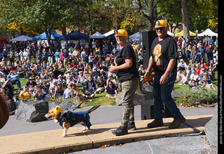 Tour de Corgi 2025 - Costume Contest