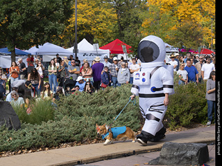 Tour de Corgi 2025 - Costume Contest