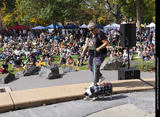 Tour de Corgi 2025 - Costume Contest