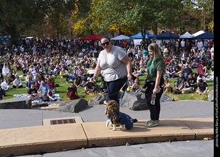 Tour de Corgi 2025 - Costume Contest