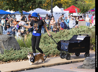Tour de Corgi 2025 - Costume Contest