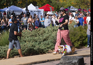 Tour de Corgi 2025 - Costume Contest